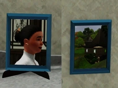 Small portrait photos sitting and on wall