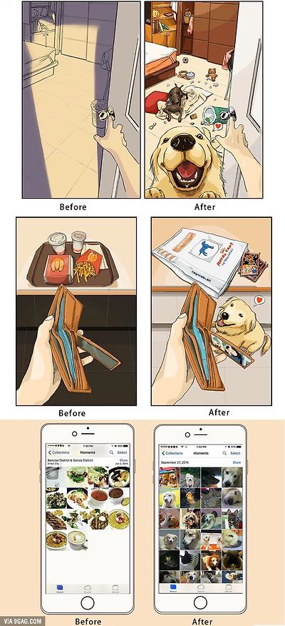 Dog is love, dog is life