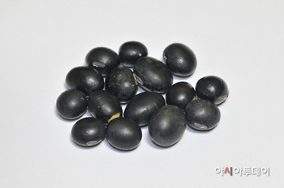 jm 검은콩(흑태) 씨앗