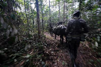 실제 크기로 보시려면 클릭해 주세요