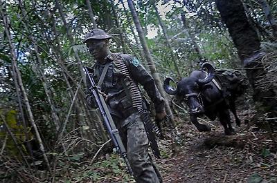 실제 크기로 보시려면 클릭해 주세요