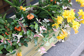IMG_7135.jpg