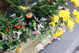 IMG_7137.jpg