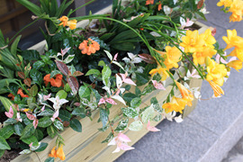 IMG_7138.jpg