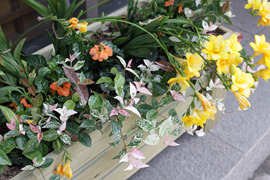 IMG_7139.jpg