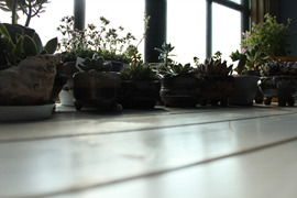 IMG_7162.jpg