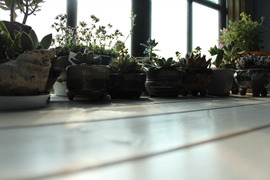 IMG_7163.jpg