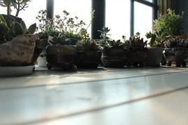 IMG_7164.jpg