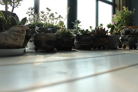 IMG_7165.jpg