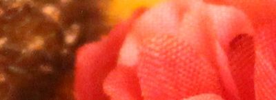 IMG_8022_3200.jpg