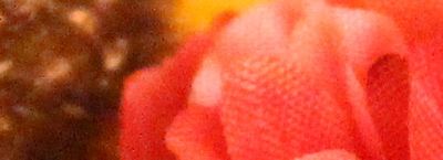 IMG_8023_6400.jpg