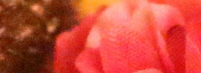 IMG_8024_12800.jpg