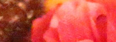 IMG_8025_25600.jpg
