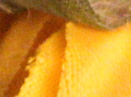 IMG_8026s.jpg