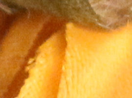 IMG_8029s.jpg