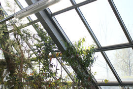 IMG_7951.jpg