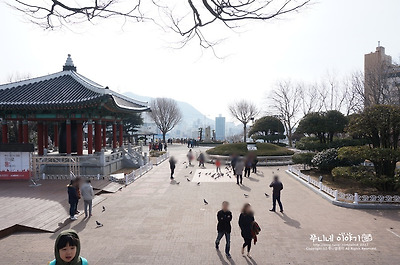 부산 용두산공원 산책 부산타워 리모델링중 ㅠㅠ