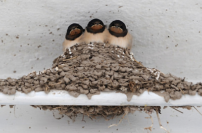 .........→ ..........