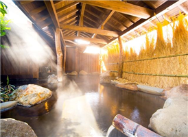 고고노에 호주야