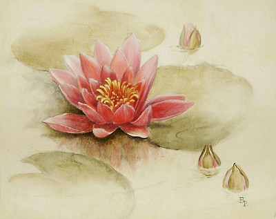 Florals - Waterlily I