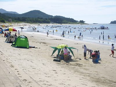 사계절 꽃피는 임자도 대광해수욕장 개장