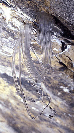 세계 아래의 세계를 456754uytfrujgyh