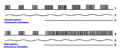 Spindle response to vibration