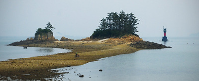 군산선유도/신비로운섬선유도/소나무팜/금강대교군산바다섬/선유도해수욕장/