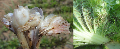 기사 관련 사진