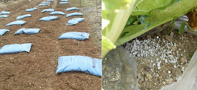 기사 관련 사진