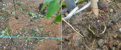 기사 관련 사진