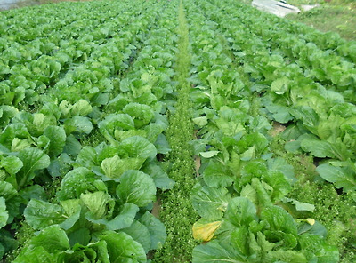 기사 관련 사진