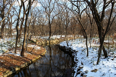 기사 관련 사진