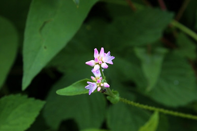 기사 관련 사진