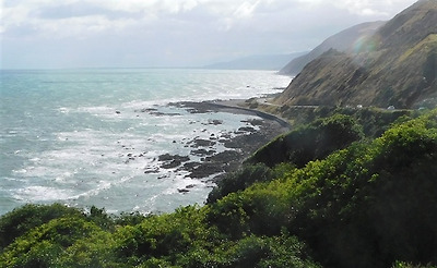 뉴질랜드에서는 경치 좋은 해안도로를 자주 운전하게 된다.