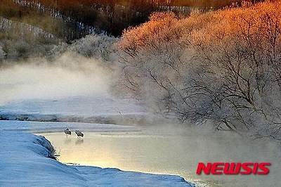 작성: 한국 네티즌본부