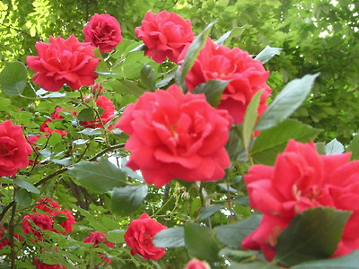 이미지를 클릭하면 원본을 보실 수 있습니다.