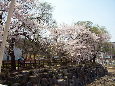 이미지를 클릭하면 원본을 보실 수 있습니다.