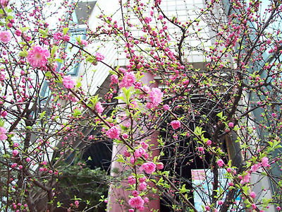 이미지를 클릭하면 원본을 보실 수 있습니다.