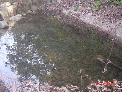 이미지를 클릭하면 원본을 보실 수 있습니다.