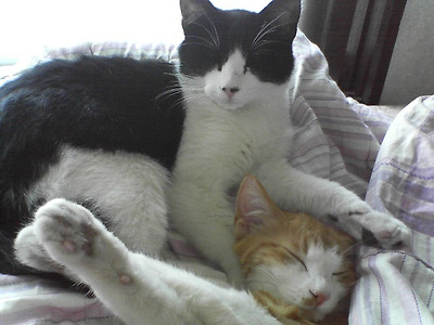 이미지를 클릭하면 원본을 보실 수 있습니다.