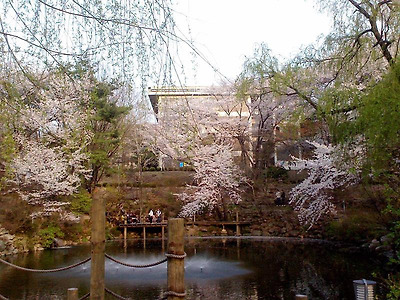 이미지를 클릭하면 원본을 보실 수 있습니다.