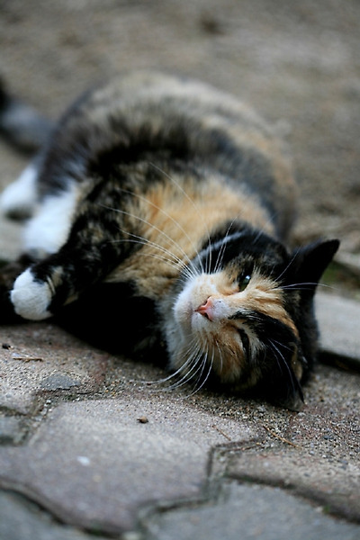 이미지를 클릭하면 원본을 보실 수 있습니다.