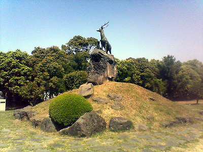 이미지를 클릭하면 원본을 보실 수 있습니다.