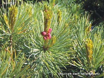 (사진을 크릭하시면 상세설명이 나옵니다.)