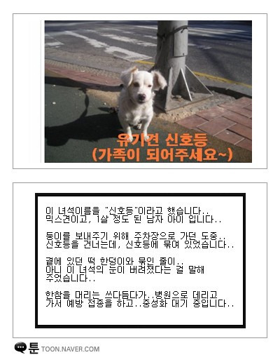 이미지를 클릭하면 원본을 보실 수 있습니다.