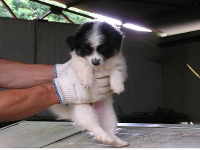 이미지를 클릭하면 원본을 보실 수 있습니다.