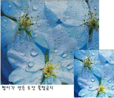 이미지를 클릭하면 원본을 보실 수 있습니다.