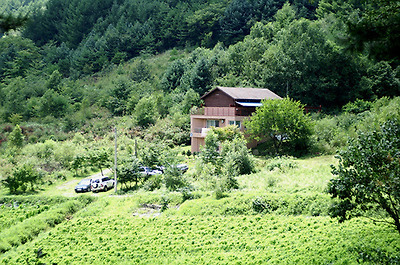 이미지를 클릭하면 원본을 보실 수 있습니다.