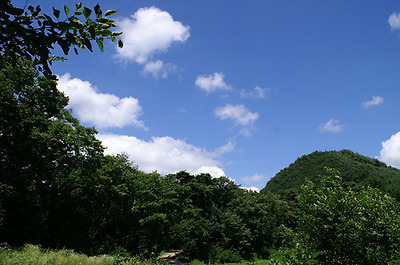 이미지를 클릭하면 원본을 보실 수 있습니다.
